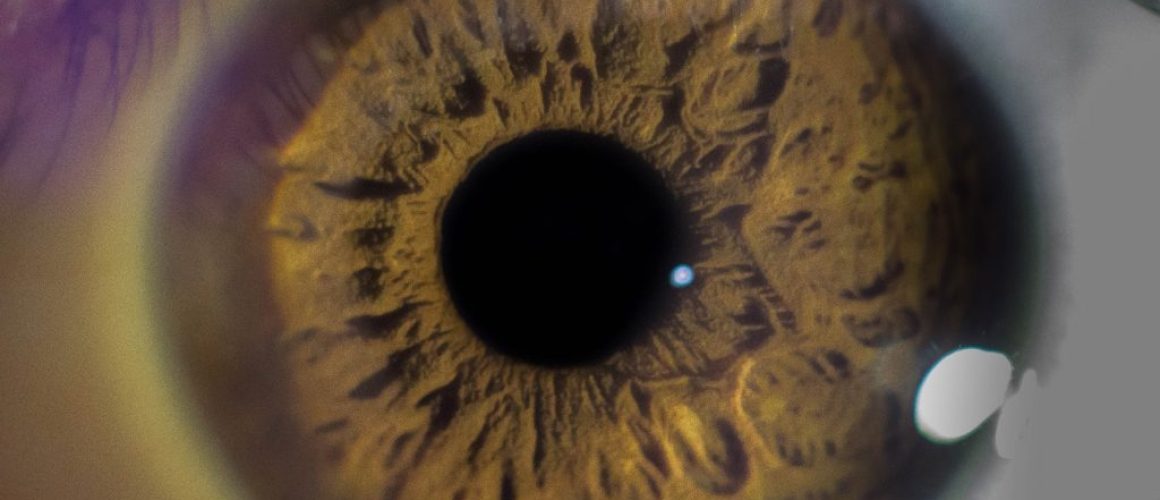 eyeball-2473099_1920