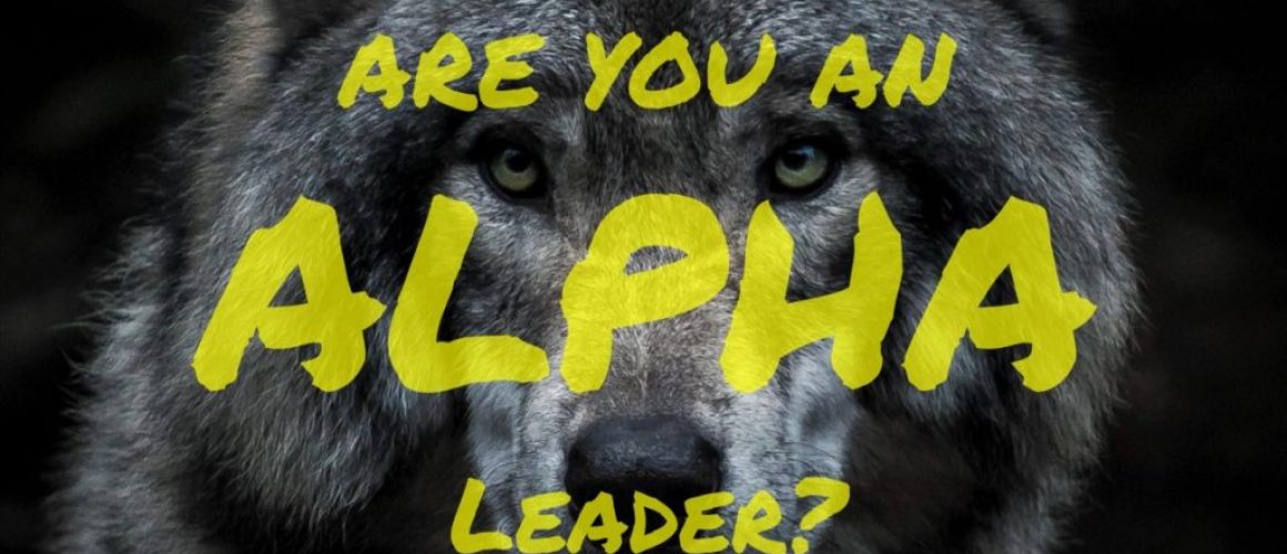 secrets of alpha leadership