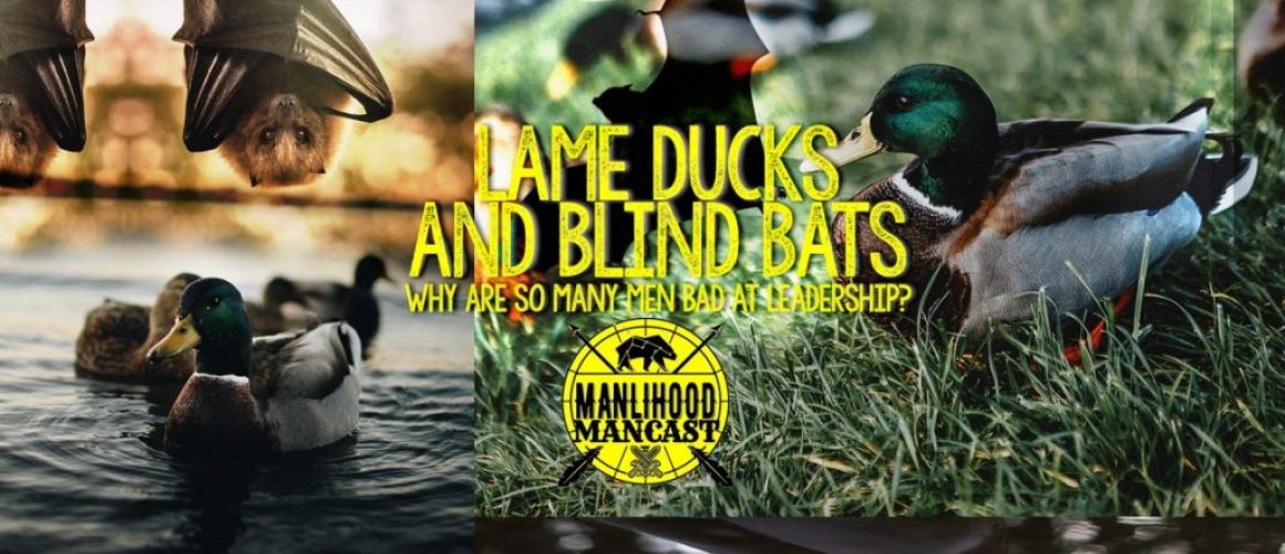 lame-ducks-and-blind-bats